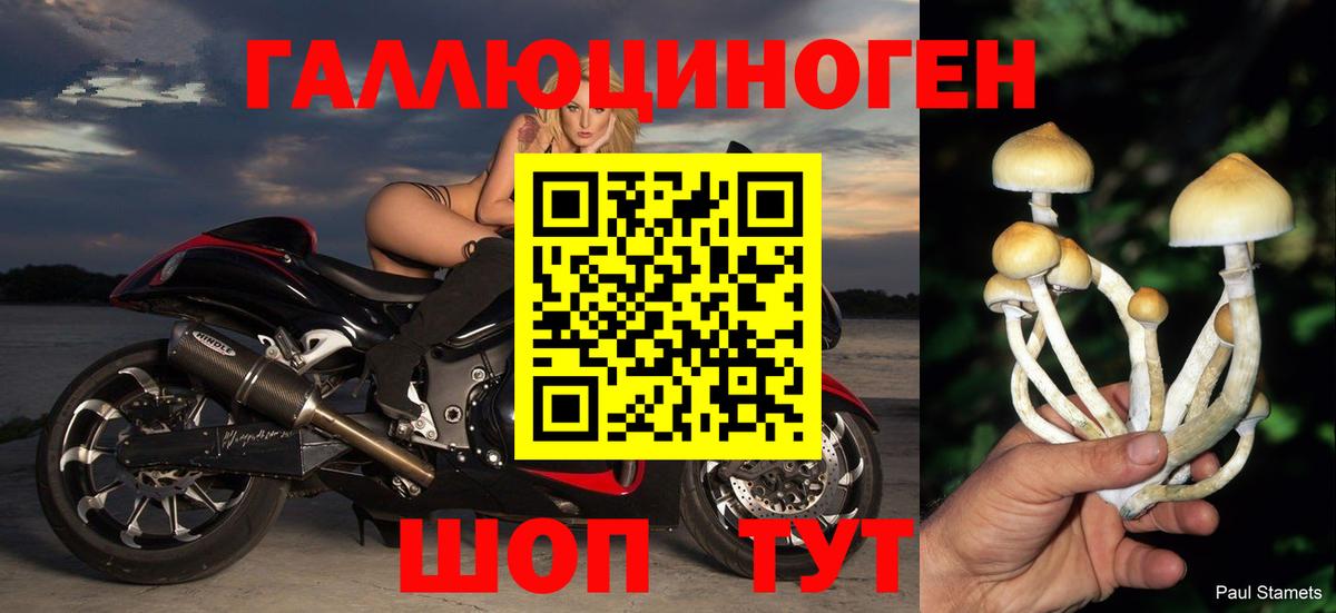 Жигулёвск  Галлюциногенные грибы Cubensis  Вход с VPN  купить   Галлюциногенные грибы Magic Shrooms 